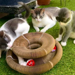 Penzio™ Interactive Cat Tunnel Toy